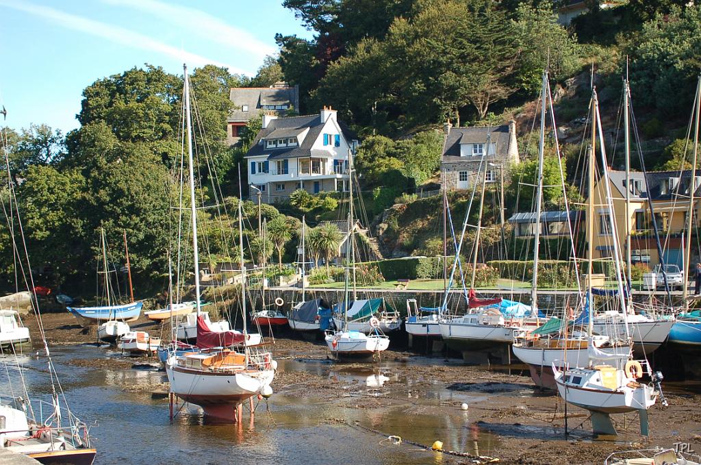 DSC_2640.JPG