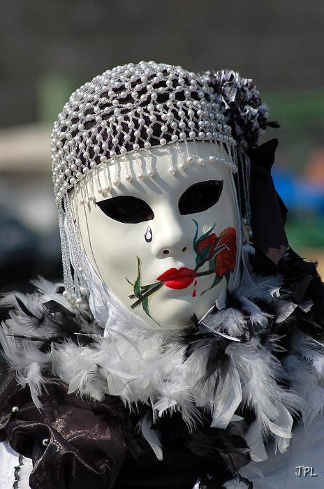 DSC_0809.JPG