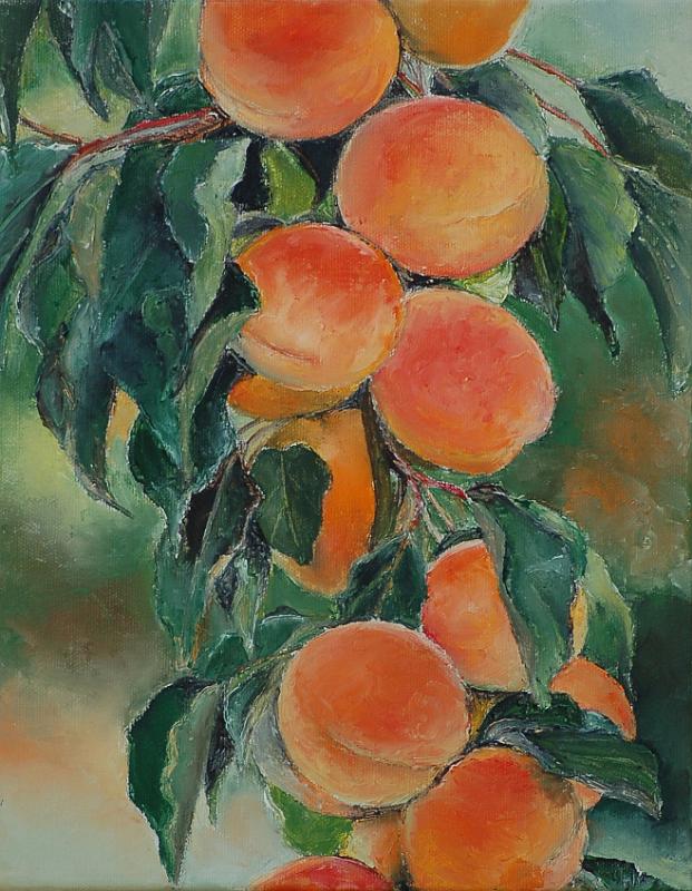 abricots.jpg - Painting oil on canvas -Huile sur toile format /size  24x30
