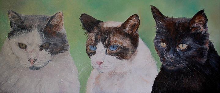 lestroischats-portrait.jpg - Painting oil on canvas -Huile sur toile format /size 30x70