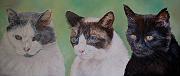 lestroischats-portrait
