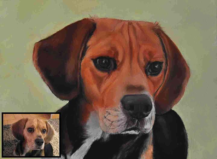 Gessy.JPG - Pastel   format /size 40x50