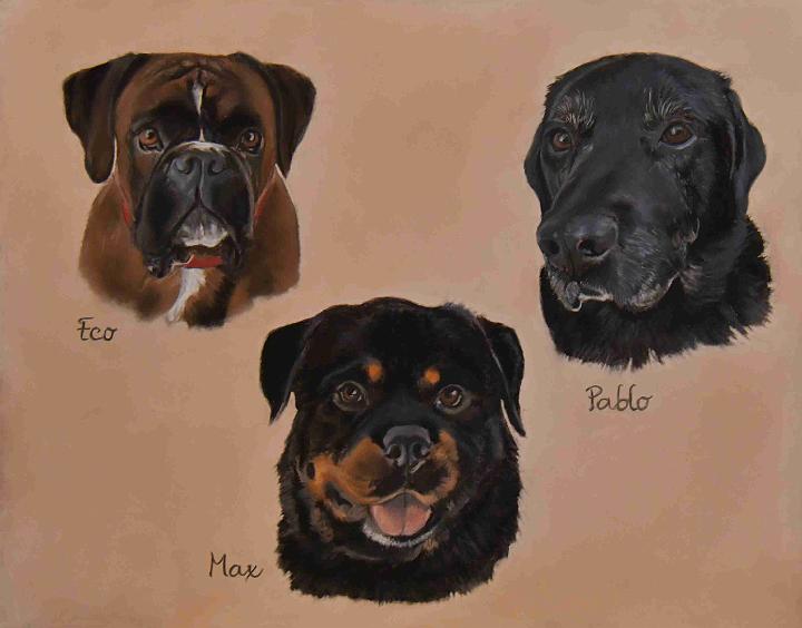 les3loulous.jpg - Pastel   format /size 40 x 50