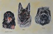 3poilus