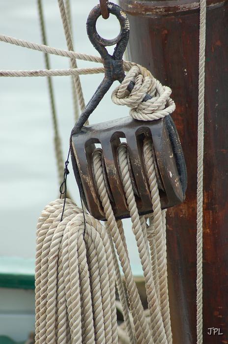 DSC_2225.JPG