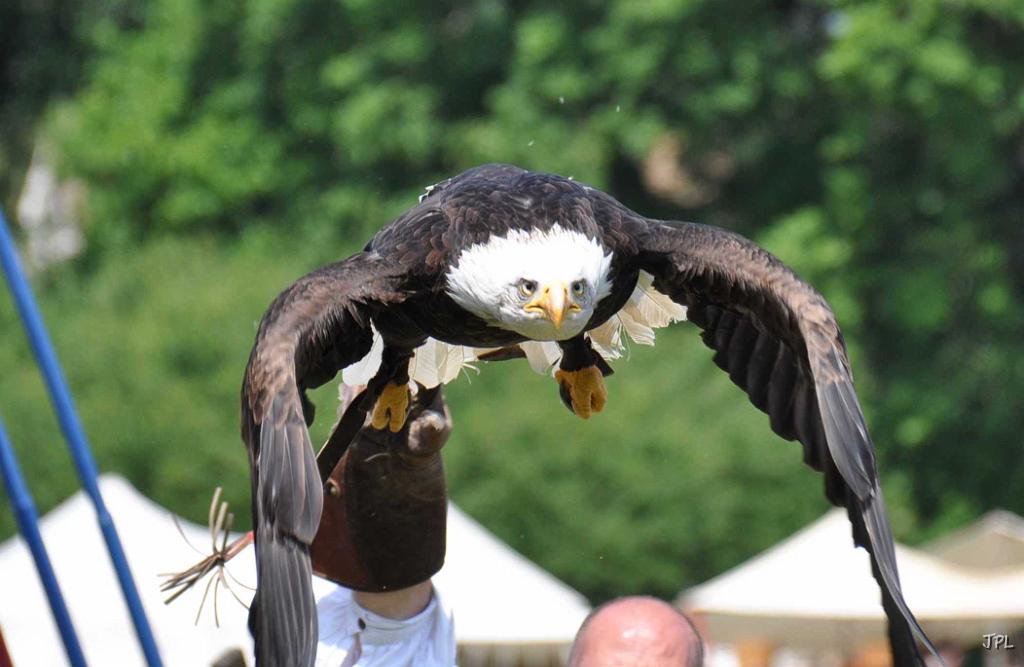 DSC_7820b.jpg