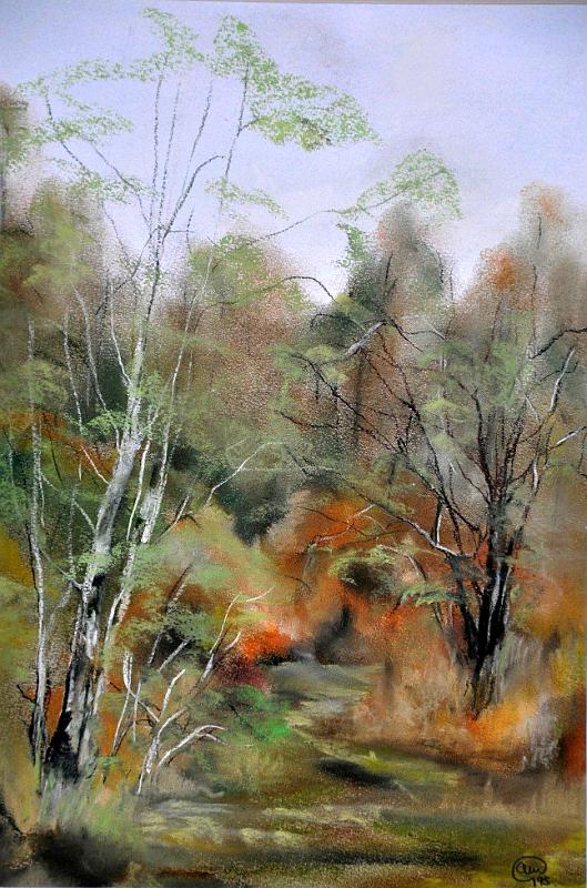 foret.jpg - Pastel  format 25x35