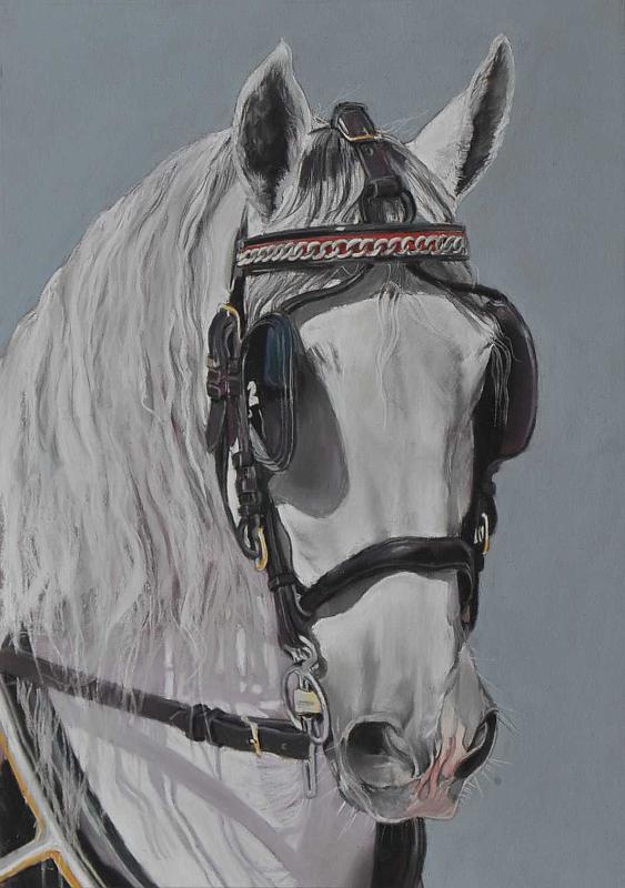 DSC_9843.JPG -  Pastel format /size 40 x 50