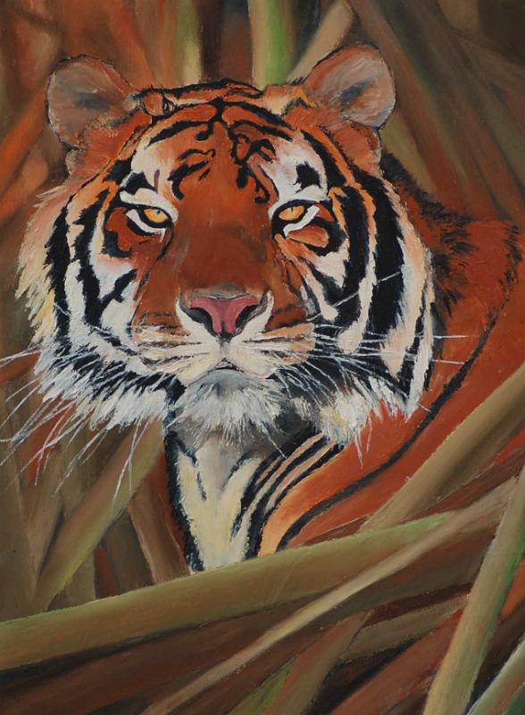 TIGRE.jpg - Painting oil on paper -Huile sur papier format /size 40x60