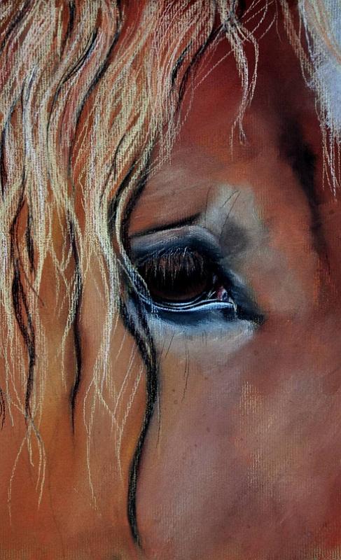 cheval-roux.jpg - Pastel   format /size 30x40
