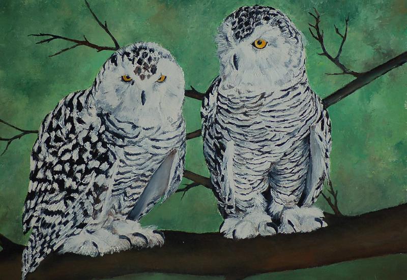 deux-chouettes.jpg - HuilePainting oil on paper -Huile sur papier format /size 40x60