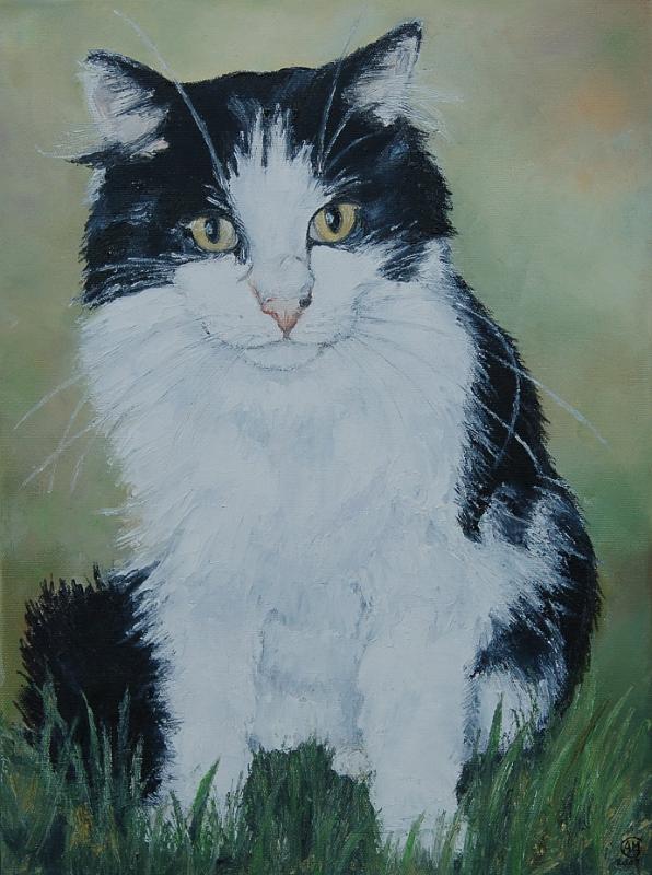 enzo.jpg - Painting oil on canvas -Huile sur toile format /size  30X40