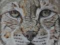 Lynx