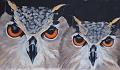 chouettes
