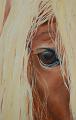 tete-cheval1
