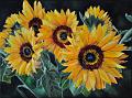 Tournesol1